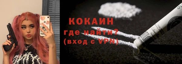 мет Бородино
