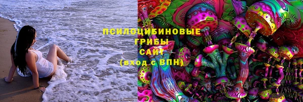 прущий лед Бронницы