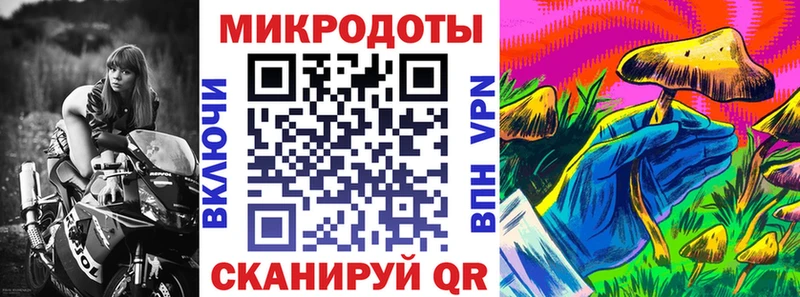 Псилоцибиновые грибы прущие грибы  Тихвин 